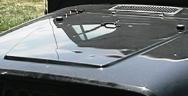 (Hood dents)