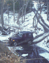 (Slippery hill photo)