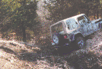 (Ditch Photo)