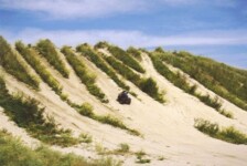 The Hill