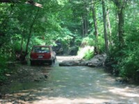 Jerry in the creek