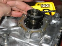 York seal spring removed