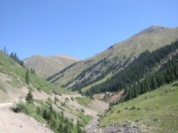 Placer Gulch outside Silverton, CO