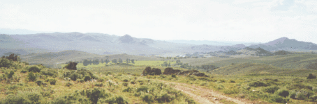 Rolling Hills