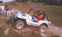 Willys on the ledges