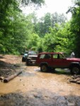 Jerry leading through the creek