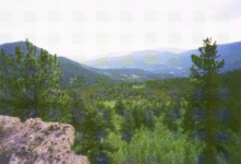 Slaughterhouse Gulch 5
