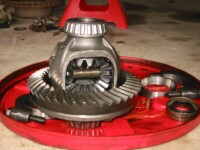 Carrier, ring gear, and bearings