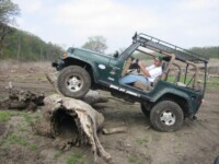 TJ on a log