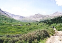 Wheeler Lake trail