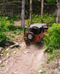 Chuque climbing a hill