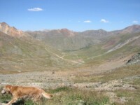 Placer Gulch outside Silverton, CO