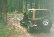 Muddy ruts