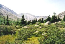 Wheeler Lake trail