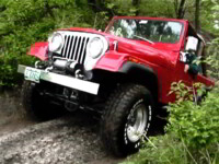 Red CJ