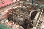 (Stripped Bronco photo)