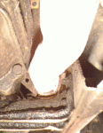 Pipe between frame and t-case, from rear