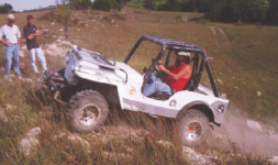 Willys on the ledges