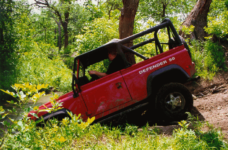 Chuque entering the creek