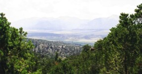 Chinaman's Gulch trail