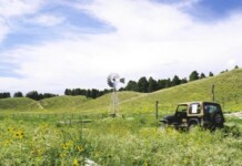 One of many windmills