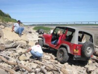 Dusty playing by the lake