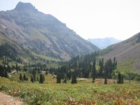 Yankee Boy Basin outside Ouray, CO
