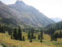 Yankee Boy Basin outside Ouray, CO