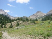 Yankee Boy Basin outside Ouray, CO