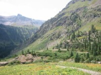 Yankee Boy Basin outside Ouray, CO