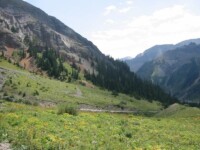 Yankee Boy Basin outside Ouray, CO