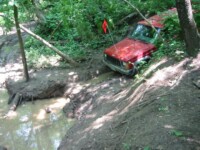 Jerry taking a plunge