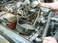 Sammy taking a drink